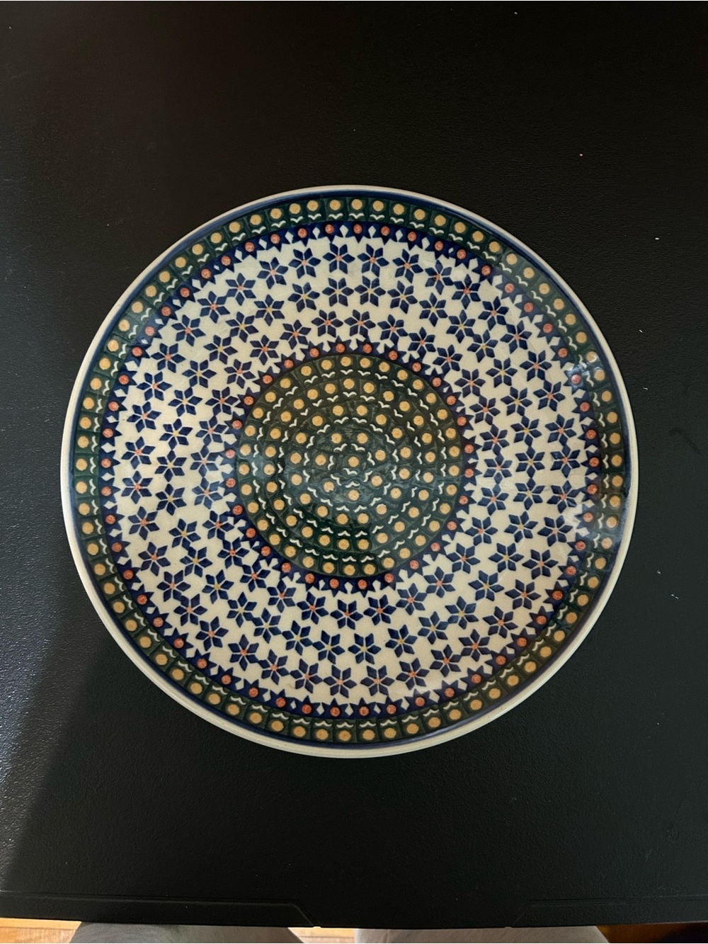 Hand Painted Polish Pottery Floral Plate Made in Poland